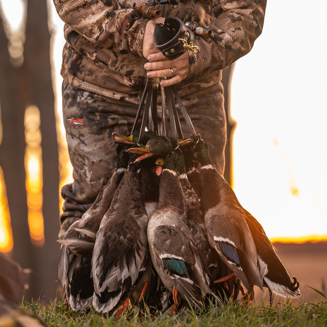 Hunter holding a full strap of ducks at golden hour